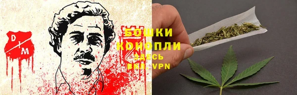 амф Аркадак