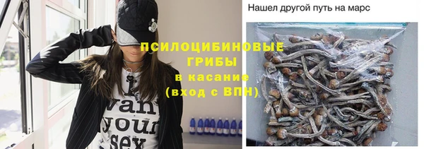 амф Аркадак