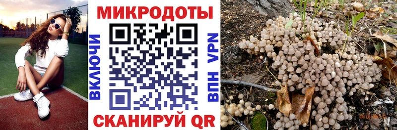 Псилоцибиновые грибы Cubensis  Светлогорск 