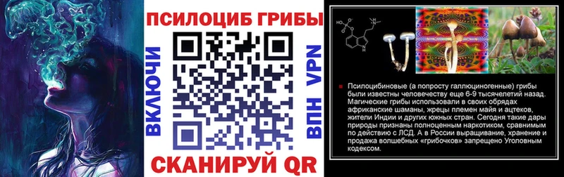 Псилоцибиновые грибы Magic Shrooms Светлогорск